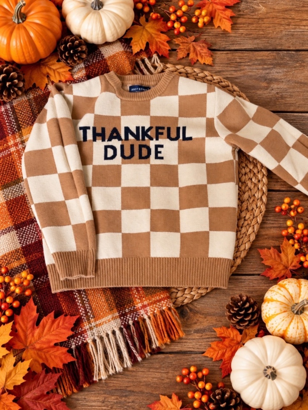 Andy and Evan boys Thanksgiving Sweater size 7